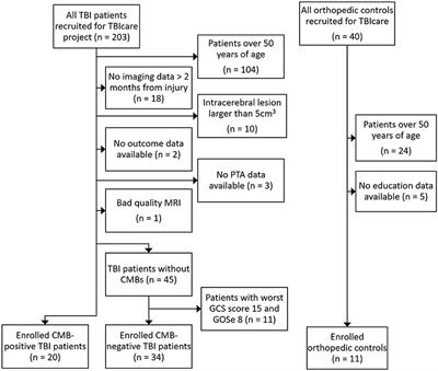 Cerebral Microbleeds and Structural White Matter Integrity in Patients With Traumatic Brain Injury—A Diffusion Tensor Imaging Study